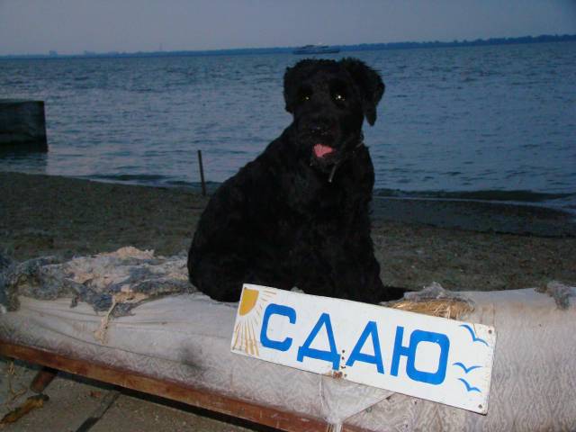 Сдам комнаты