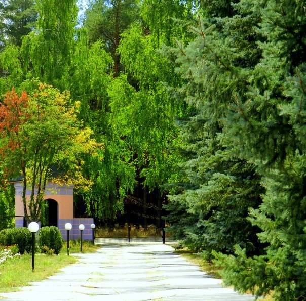 Отельно-развлекательный комплекс "British Resort"