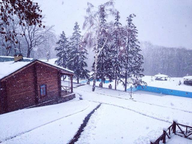 Park Rost Club
