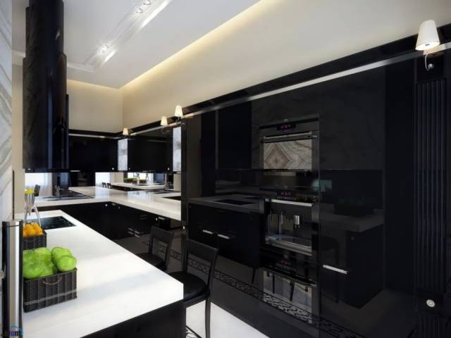 Квартира VIP класса в черно -белых тонах посуточно, понедельно