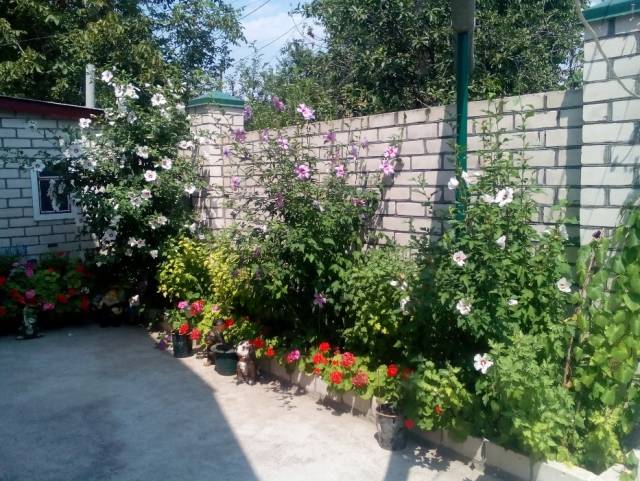 Приятный отдых в Очакове