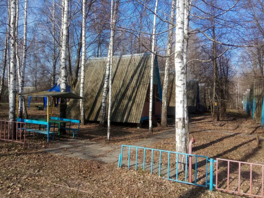 Дома на базе отдыха Дружба