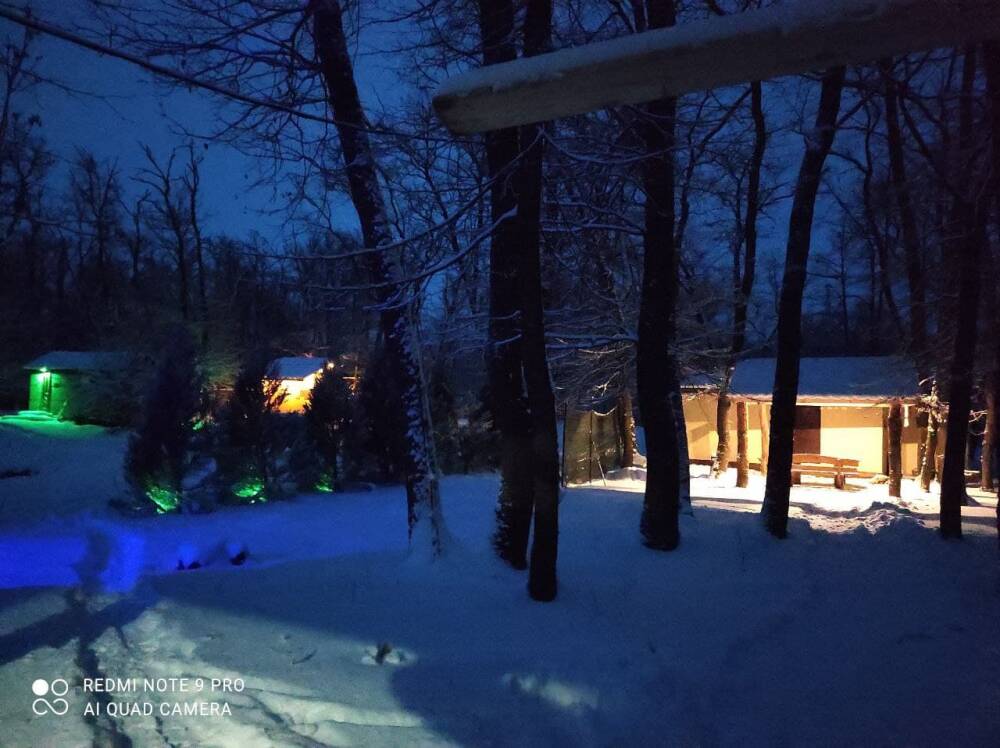 Дубовая Роща