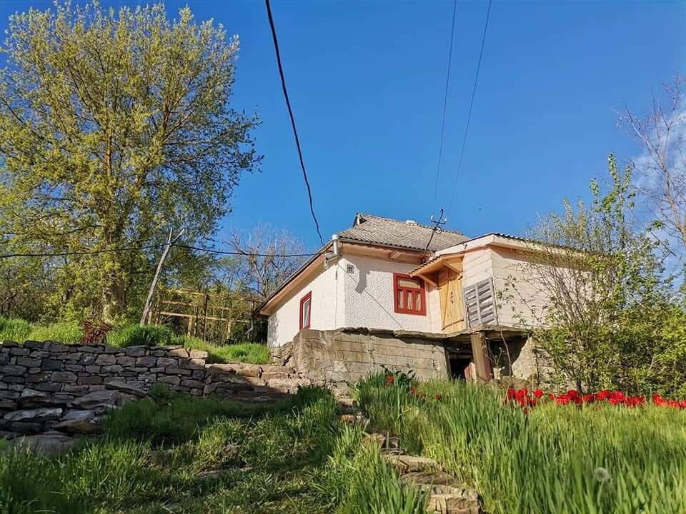 Здраве Життя. Простір для розвитку і відпочінку.